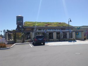 Great food at Amy's Drive Thru in Rohnert Park