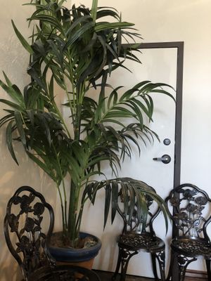 :) at Passion Flour Patisserie in Salt Lake City