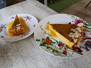  at L'Arbousier in Nimes