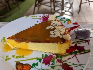  at L'Arbousier in Nimes
