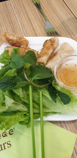 Nems "poulet" at Vege Saveurs in Paris