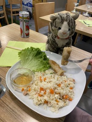 The children’s meal - vegetable rice, spring rolls, salad - our seven year old said they were the best spring rolls he’s ever had. The toy cat liked them too 😻  at Vege Saveurs in Paris