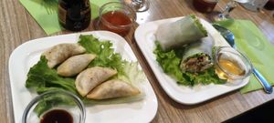 Raviolis frits, Rouleau de printemps at Vege Saveurs in Paris
