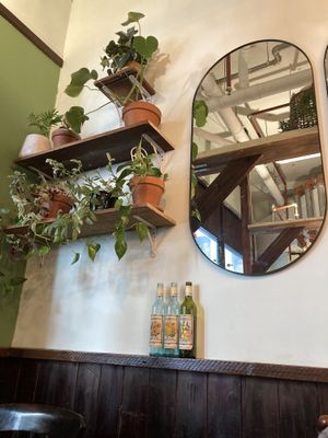   at Veggie Vie in Adelaide