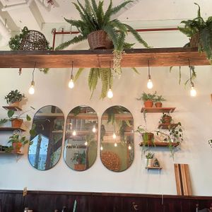 . at Veggie Vie in Adelaide