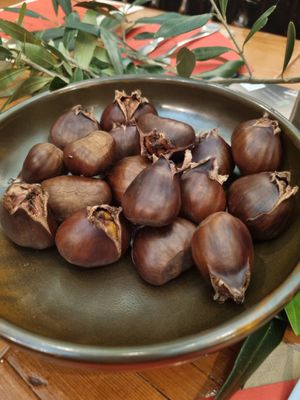 . at Veggie Vie in Adelaide