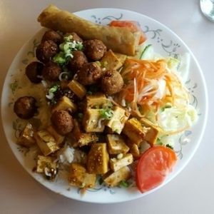 Rice with Spring Roll, Homemade Veggie Meat, and Tofu, at Wei's Noodle House in Ottawa
