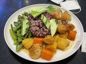 3 choices from the buffet with rice (95 baht) and two spring rolls (20 baht each).  at Walee - EM Quartier in Bangkok