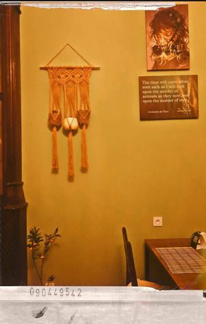  at Kiwi Vegan Cafe in Tbilisi