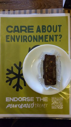 The "Snickers" bar - melts in your mouth! at Kiwi Vegan Cafe in Tbilisi