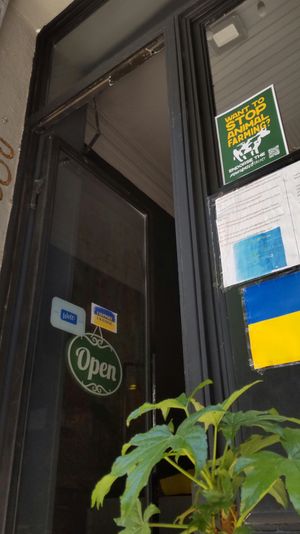 Cafe supports the Plant Based Treaty! at Kiwi Vegan Cafe in Tbilisi