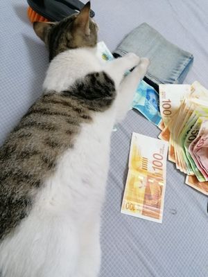 #Veganuary at Kiwi Vegan Cafe in Tbilisi