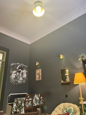   at Kiwi Vegan Cafe in Tbilisi