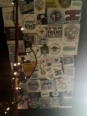   at Kiwi Vegan Cafe in Tbilisi