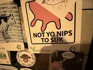   at Kiwi Vegan Cafe in Tbilisi