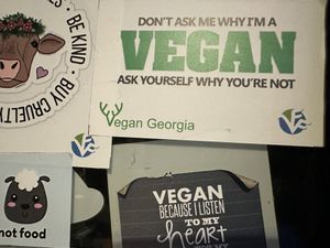   at Kiwi Vegan Cafe in Tbilisi