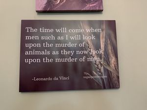   at Kiwi Vegan Cafe in Tbilisi