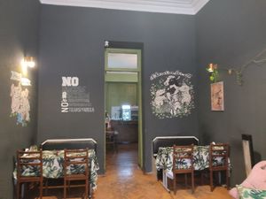  at Kiwi Vegan Cafe in Tbilisi
