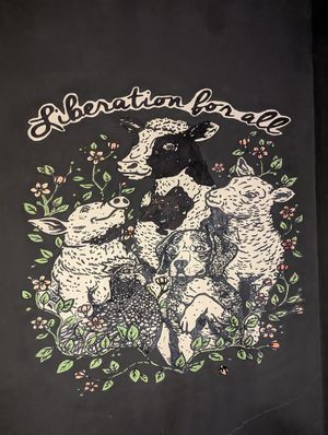  at Kiwi Vegan Cafe in Tbilisi