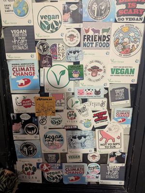  at Kiwi Vegan Cafe in Tbilisi