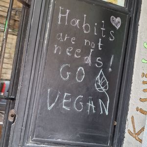  at Kiwi Vegan Cafe in Tbilisi