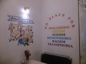 Interior design  3 at Kiwi Vegan Cafe in Tbilisi