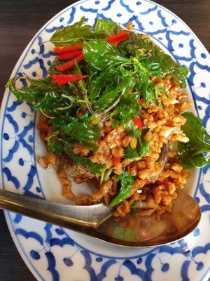 Vegan Basil tofu at Baan Ying in Samut Prakan
