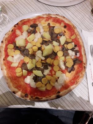 Vegan Pizza with tomato, rice cheese, mushrooms, potatoes, lupine wurstel at Pizzeria Gardesana in Bussolengo