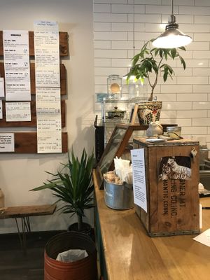 Tiger love at Not Only Juice in Willimantic