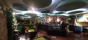  at Bosco Verde Italian Vegan Restaurant in Ulaanbaatar