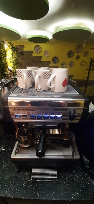  at Bosco Verde Italian Vegan Restaurant in Ulaanbaatar