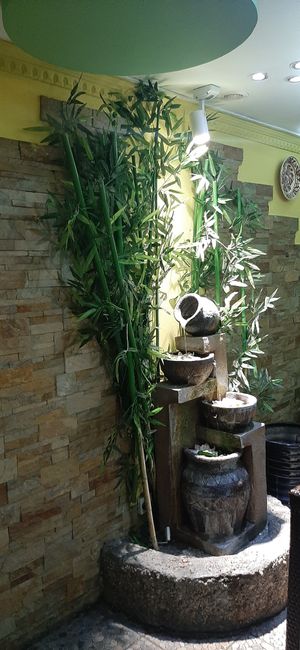  at Bosco Verde Italian Vegan Restaurant in Ulaanbaatar