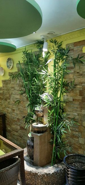  at Bosco Verde Italian Vegan Restaurant in Ulaanbaatar