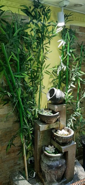  at Bosco Verde Italian Vegan Restaurant in Ulaanbaatar