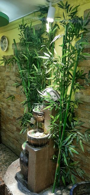  at Bosco Verde Italian Vegan Restaurant in Ulaanbaatar