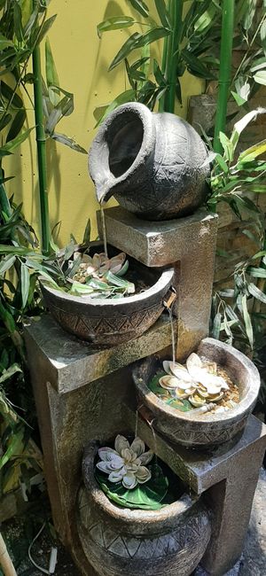  at Bosco Verde Italian Vegan Restaurant in Ulaanbaatar