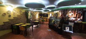  at Bosco Verde Italian Vegan Restaurant in Ulaanbaatar