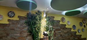  at Bosco Verde Italian Vegan Restaurant in Ulaanbaatar