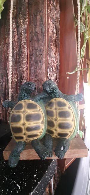  at Bosco Verde Italian Vegan Restaurant in Ulaanbaatar