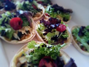 Tapas at Frollein Elfriede in Worms