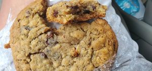 oatmeal raisin pecan cookie at The Nile Cafe in Philadelphia