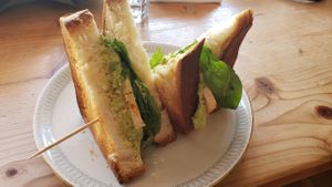 Fancy Vegan sandwich with tofu, pesto, hummus, veggies at Airtime Cafe in Lauterbrunnen