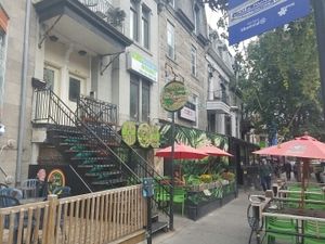 outside at Panthere Verte - St. Denis in Montreal