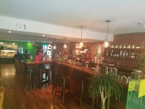 inside at Panthere Verte - St. Denis in Montreal