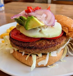 Soy Burger at Fruzion in Paracas