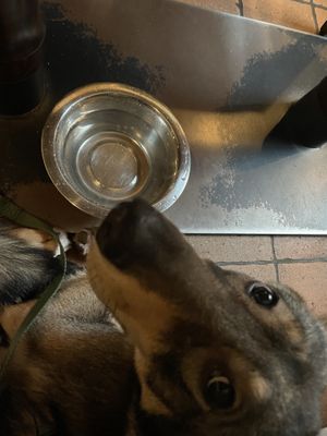  #Veganuary at Gruene Kombuese in Rostock