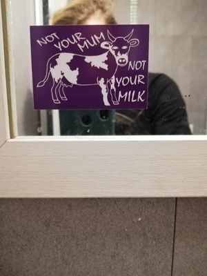 Toilettenspruch at Buddy VEGGY in Rome