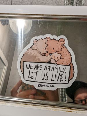  at Buddy VEGGY in Rome