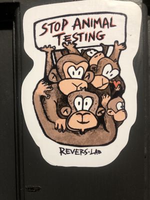   at Buddy VEGGY in Rome