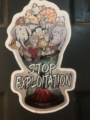   at Buddy VEGGY in Rome